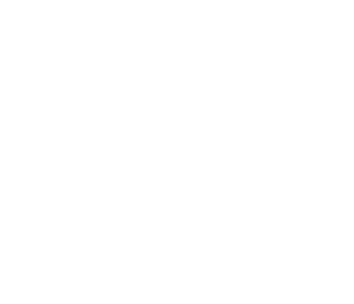 Drawing of a raccoon coding on a laptop