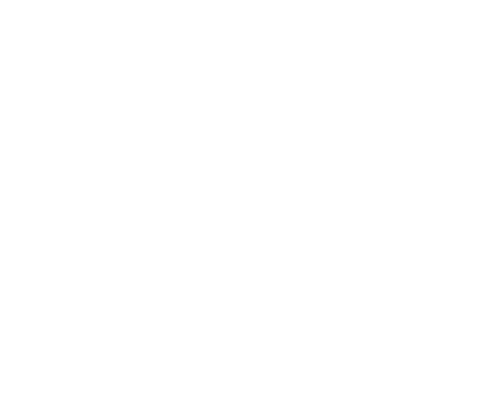 Drawing of a raccoon sailing a boat with a parcel aboard