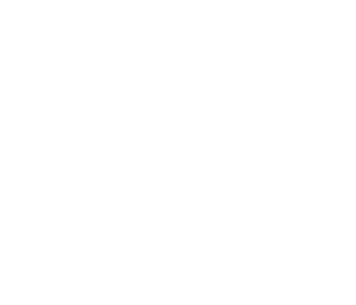 Drawing of a raccoon carrying a parcel