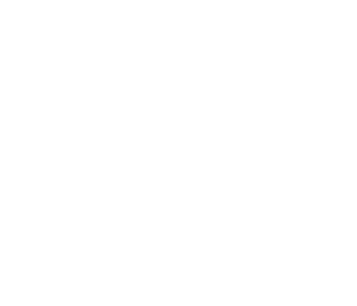 Drawing of a raccoon cheering beside a finished cyberdeck